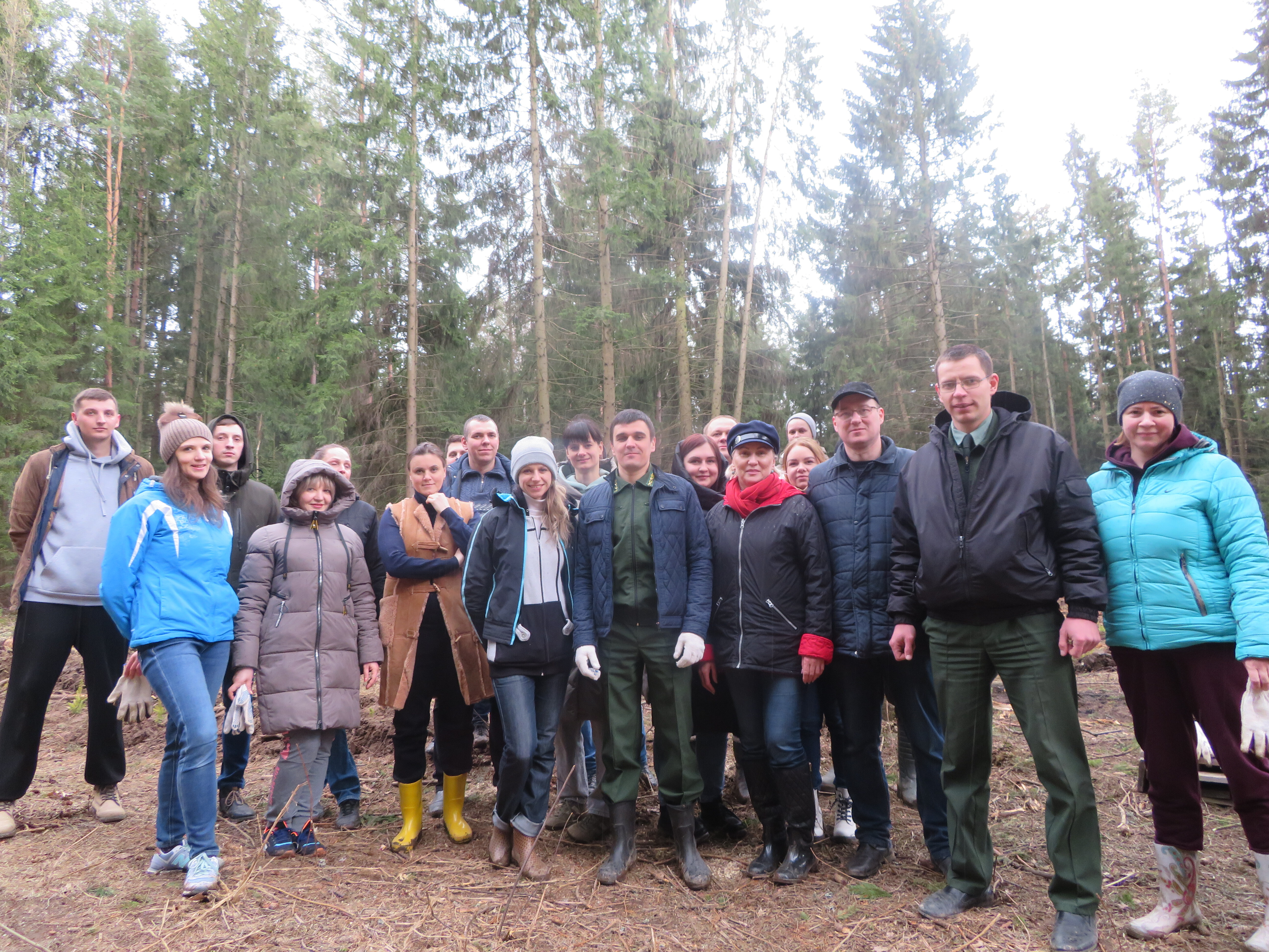 Коллектив инспекции МНС по Минской области принял участие в республиканской акции «Неделя леса»