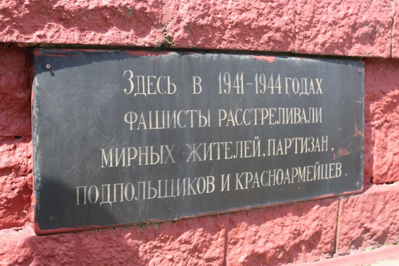 8895.jpg