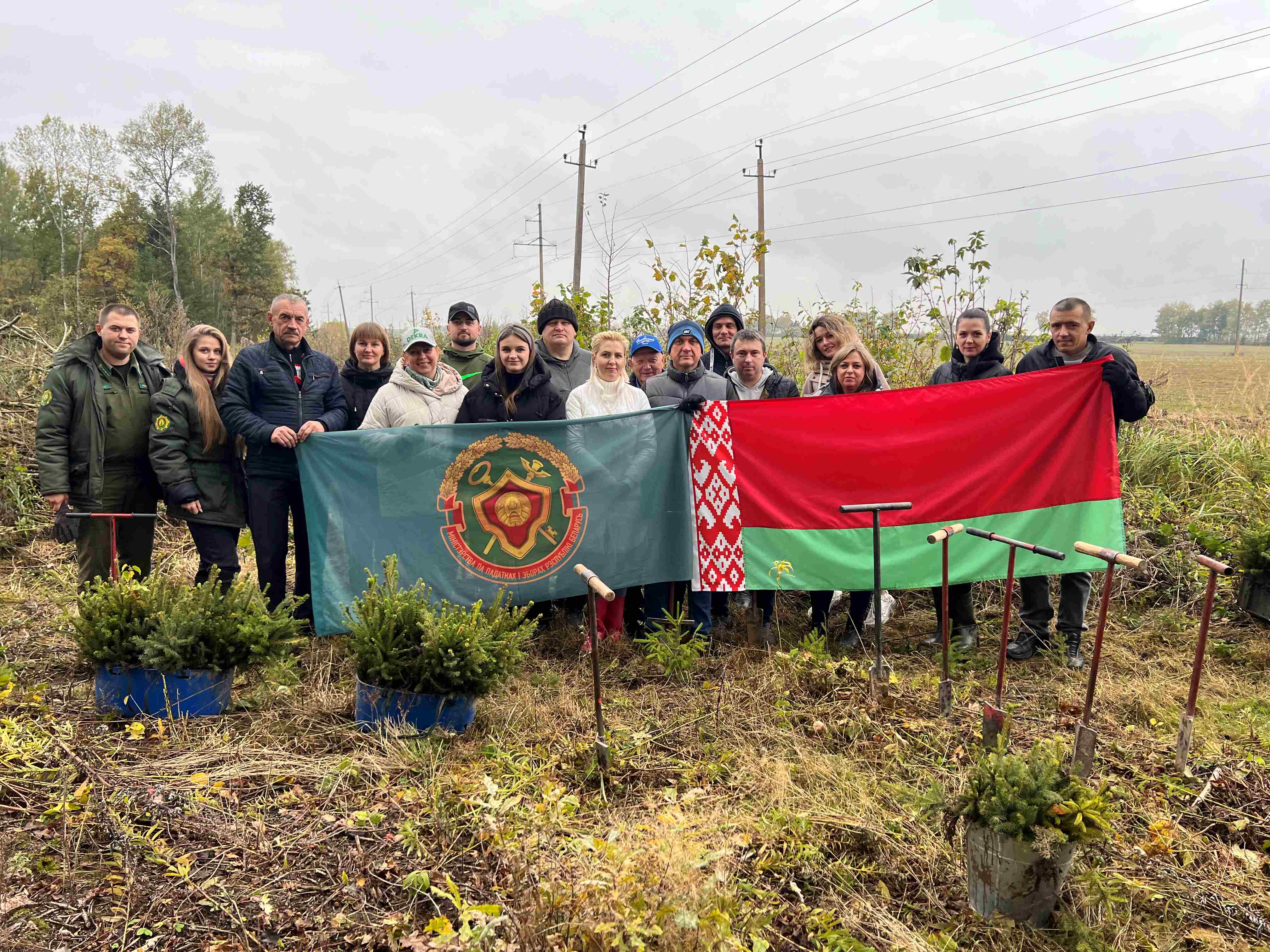 Работники ИМНС по Слонимскому району приняли участие в добровольной общественной акции «Дай лесу новае жыццё!»