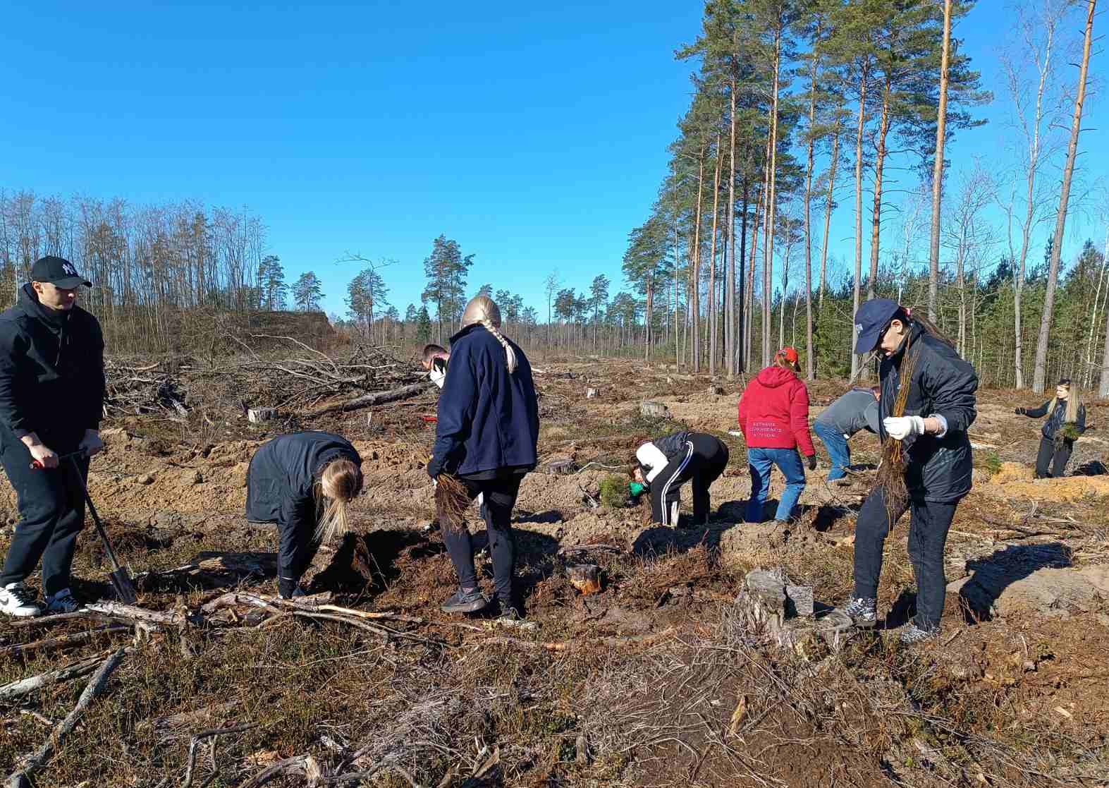 Работники инспекции МНС по Лидскому району приняли участие в акции «Дай лесу новае жыццё!»
