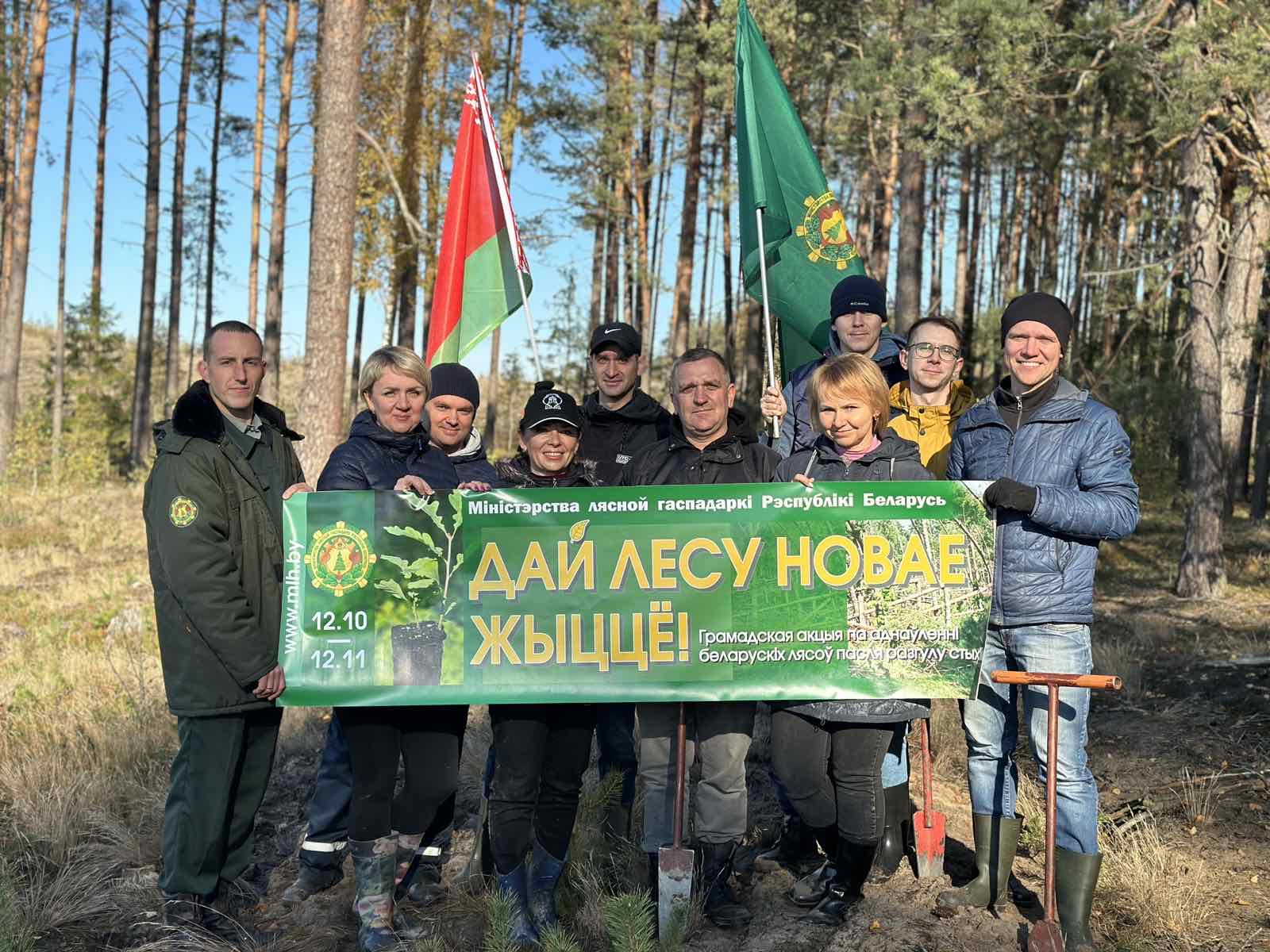 Работники инспекции МНС по Гродненской области  приняли участие в акции «Дай лесу новае жыццё!»