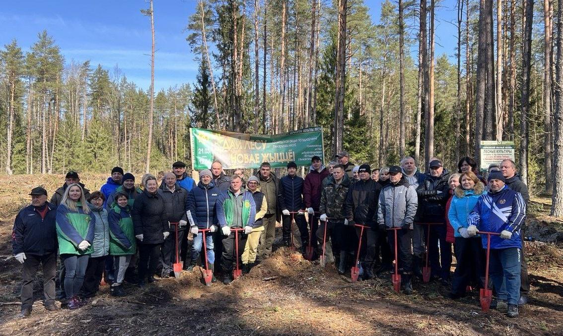 Республиканская акция «Дай лесу новае жыццё!»
