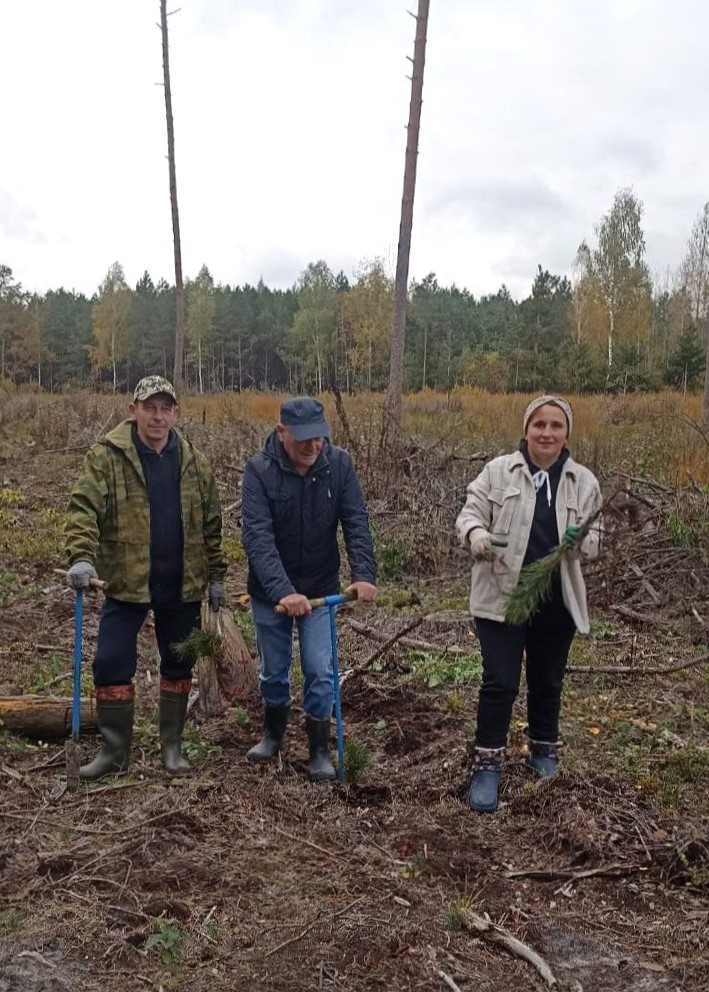 Члены профкома инспекции МНС по Столинскому району посадили 740 саженцев