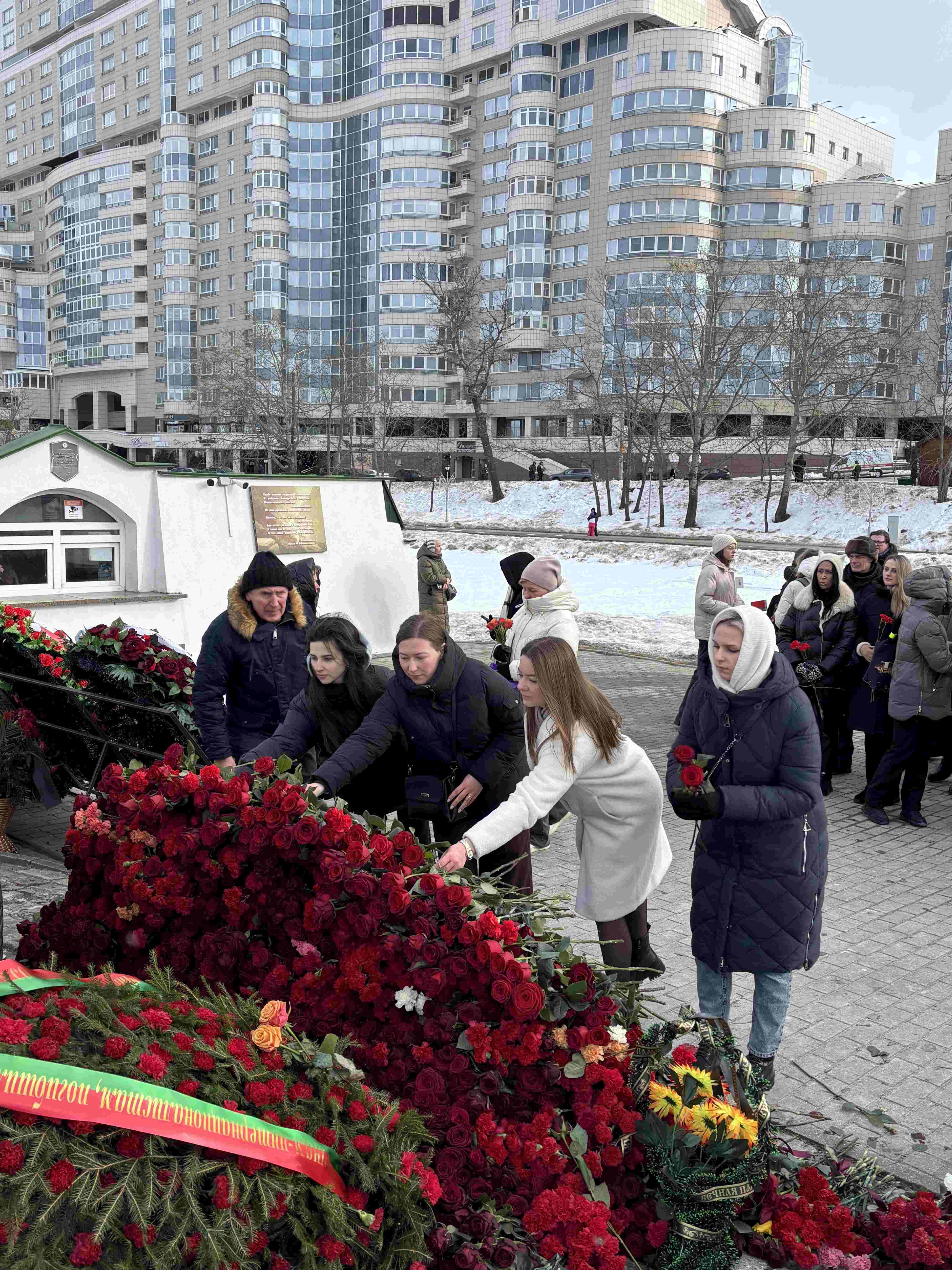 image-15-02-26-01-05-4.JPG