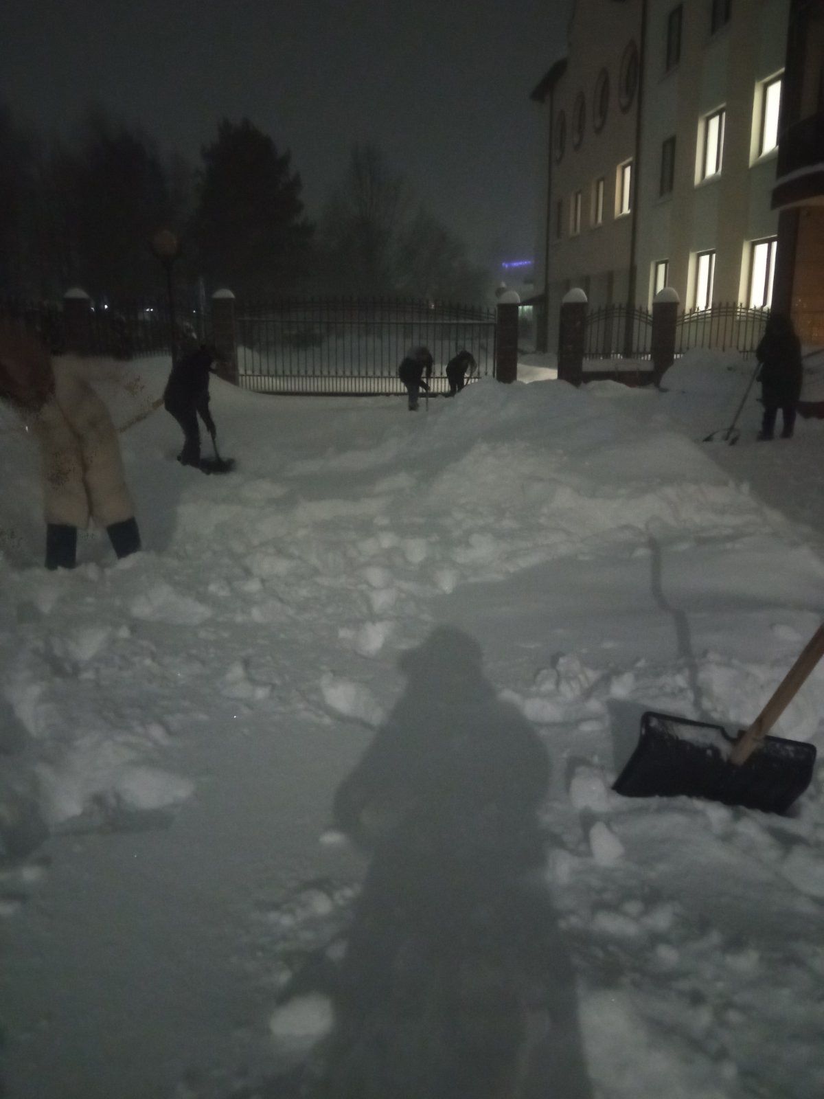IMG_3916.jpeg