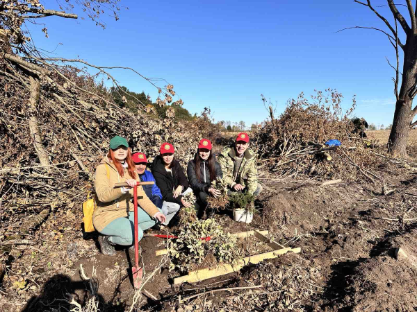 Дай лесу Новае жыцце