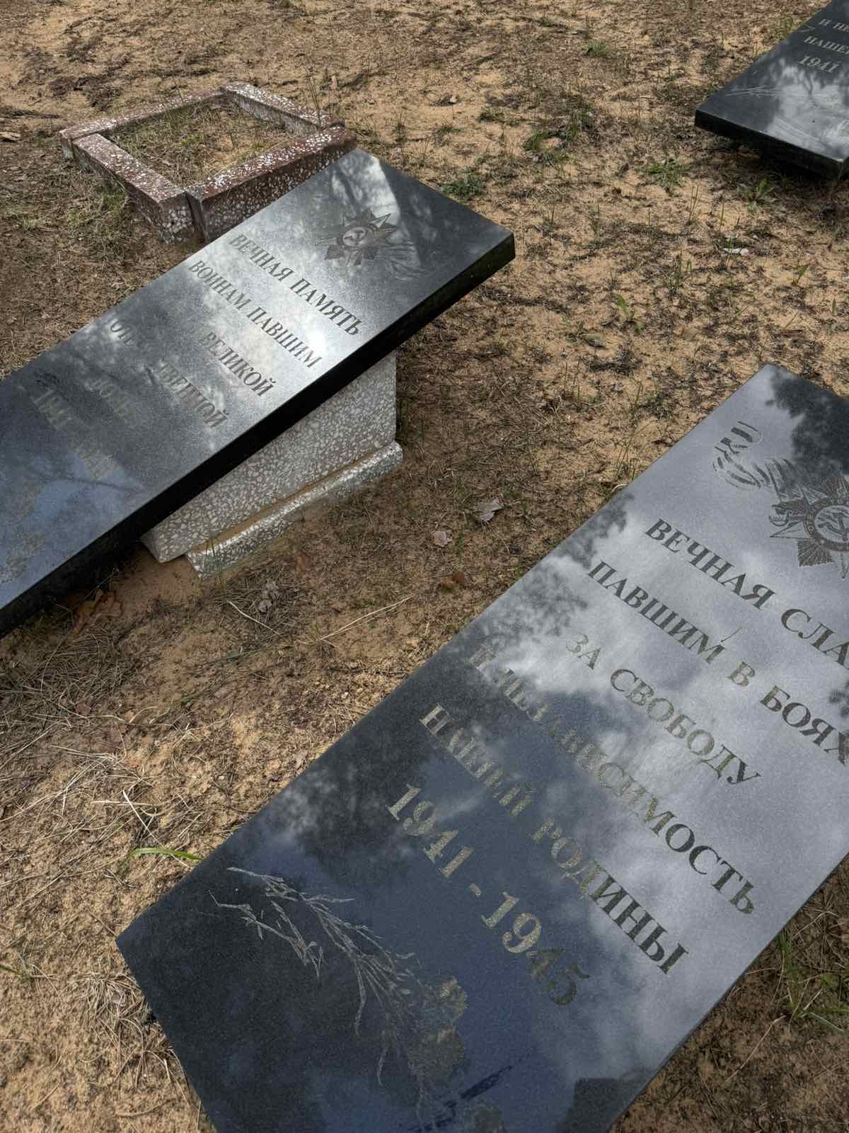 1000023264.jpg
