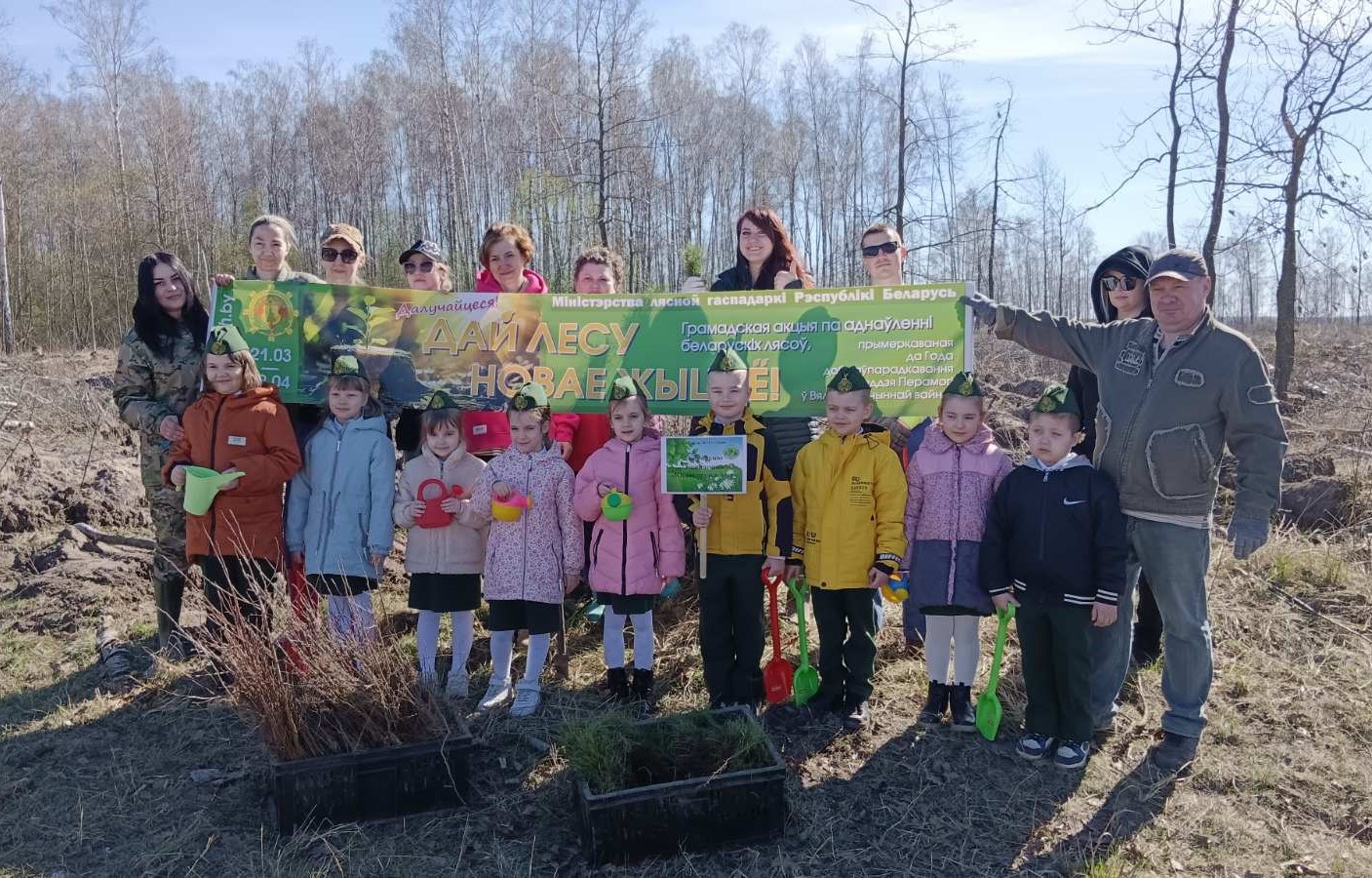 «Дай лесу новае жыццё!»