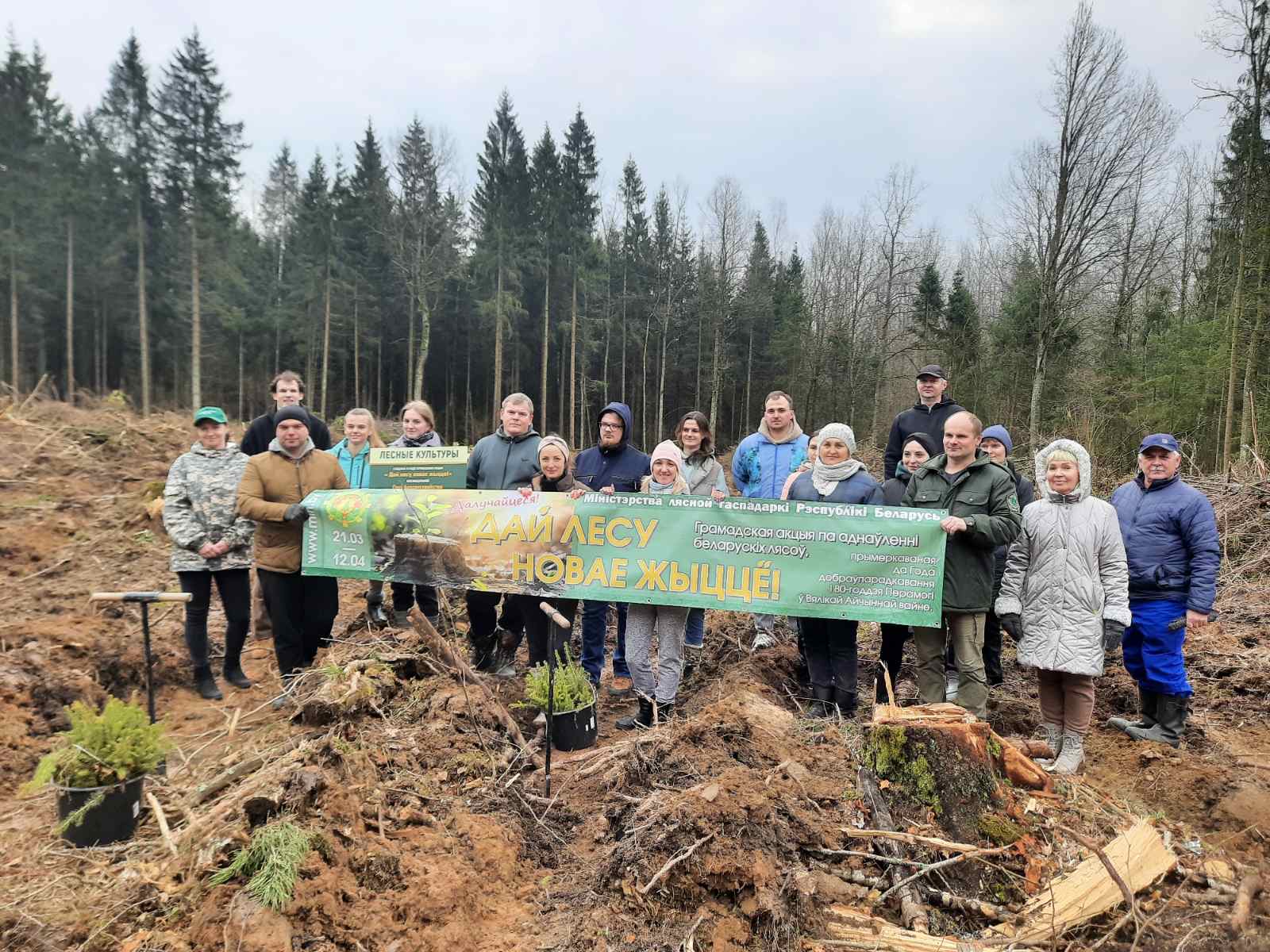 Инспекции МНС по Минскому району и Минской области приняли участие в республиканской акции «Дай лесу новае жыццё!»