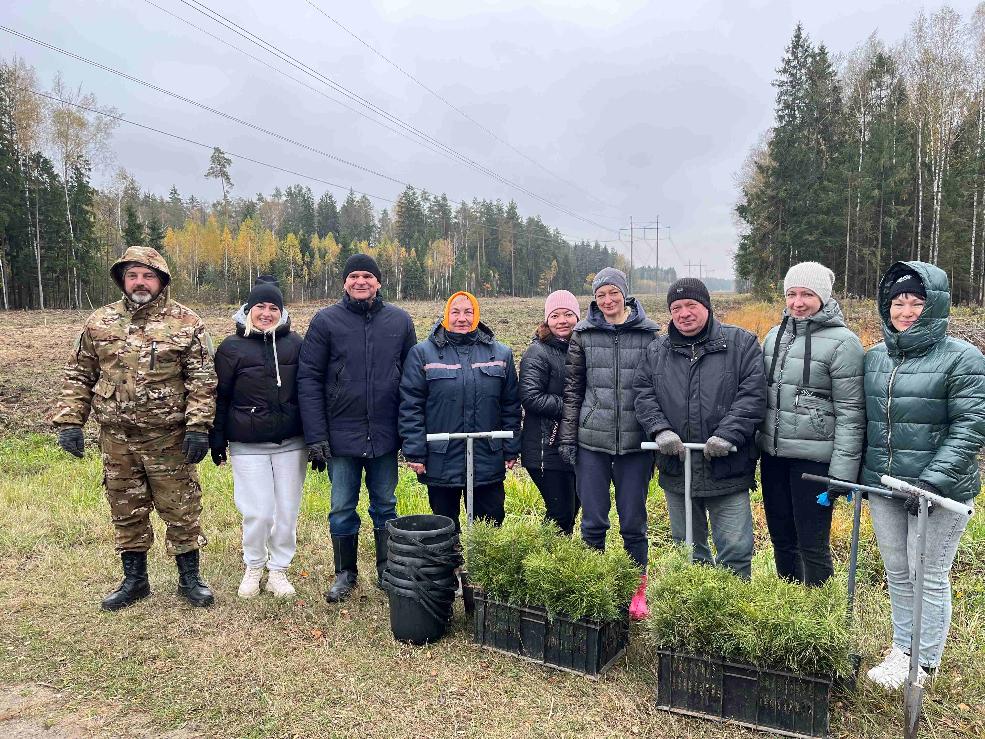 Дай лесу новае жыцце!