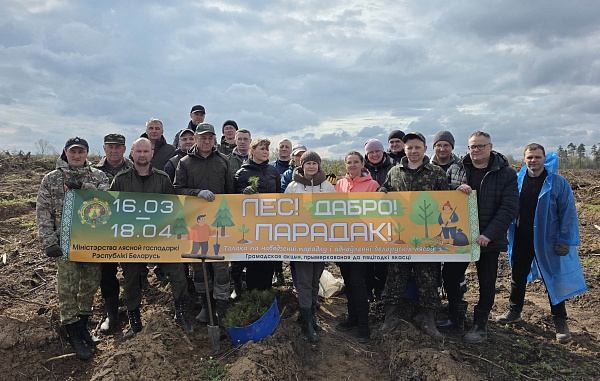 Сотрудники налоговых органов Могилёвской области поддержали акцию «Лес! Дабро! Парадак!»