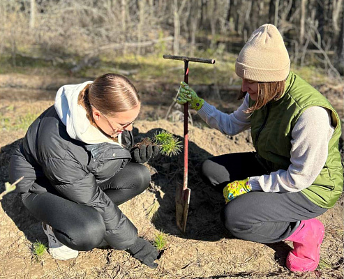 Налоговая инспекция Жлобинского района приняла участие в акции по восстановлению леса